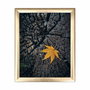 Wallity Cuadro Decorativo ACT-003 Multicolor